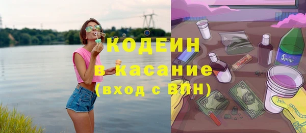 шишки Михайловск