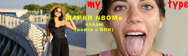 шишки Михайловск