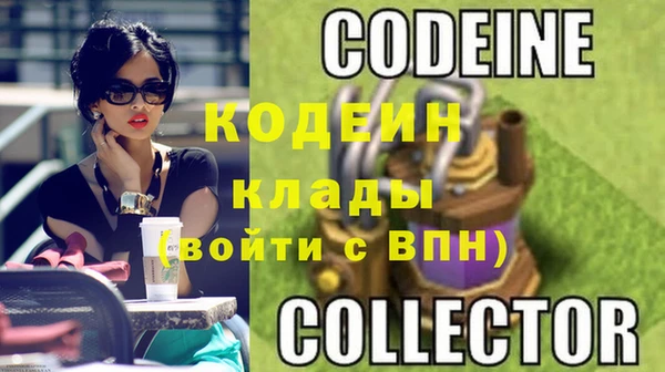 шишки Михайловск