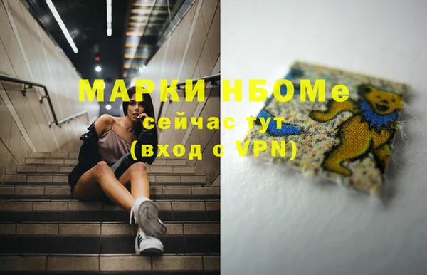 шишки Михайловск