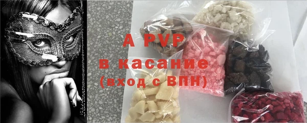 шишки Михайловск