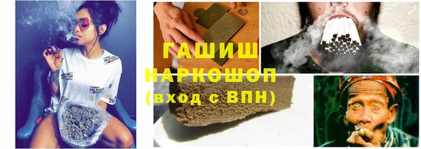 шишки Михайловск